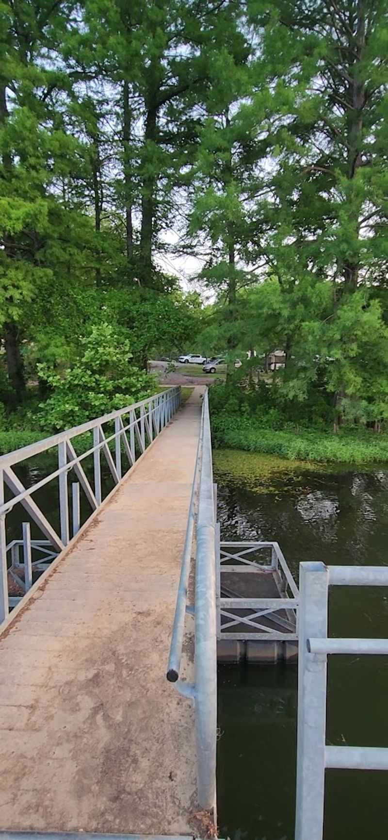 The Swinging Bridge and Its Legendary Pull