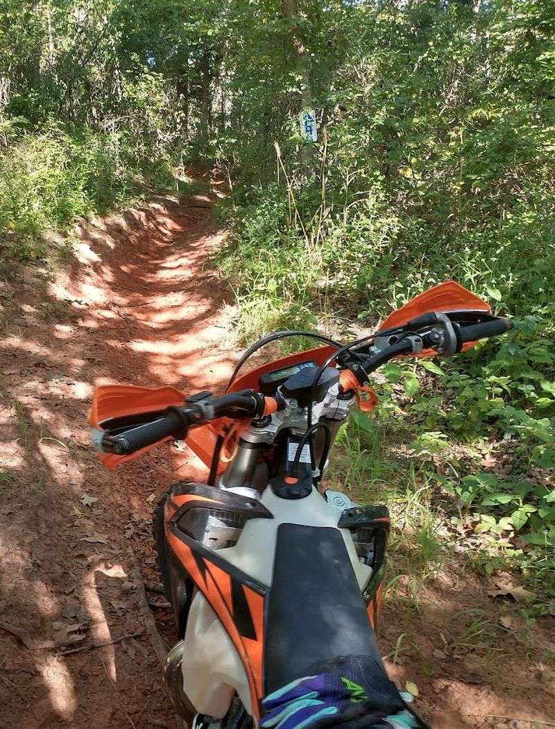 The Terrain That Makes Every Lap Feel Different