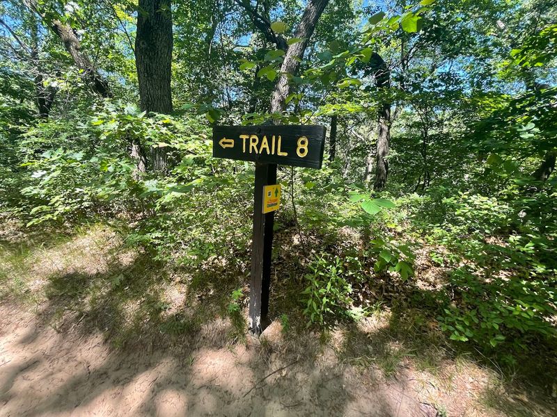 The Three Dune Challenge (Trail 8) - Indiana Dunes State Park