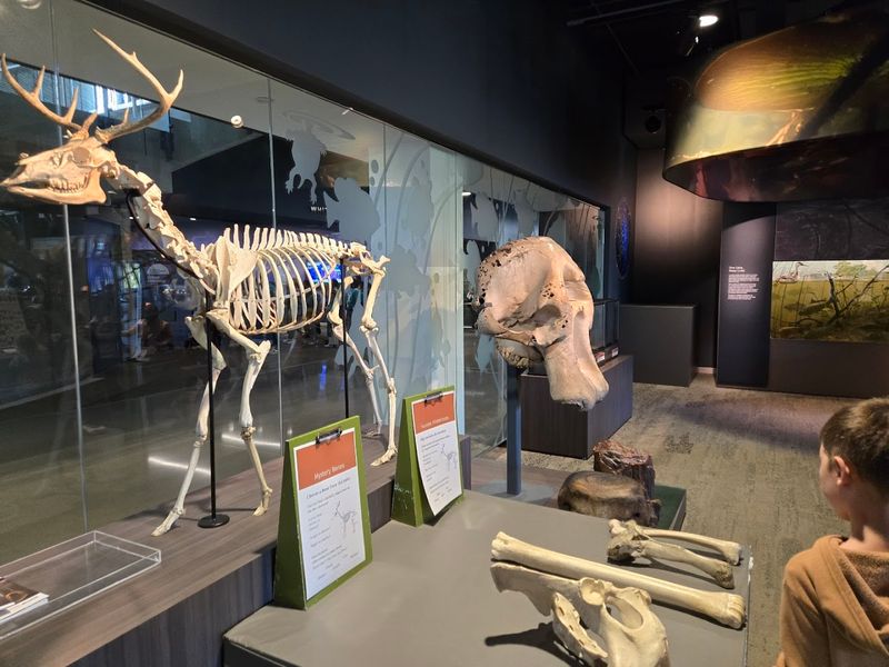 The Touch and See Lab Where Learning Gets Hands-On