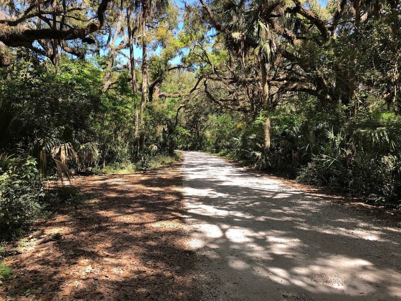 The Trail In Is Part of the Experience, Not Just a Walk The Trail In Is Part of the Experience, Not Just a Walk