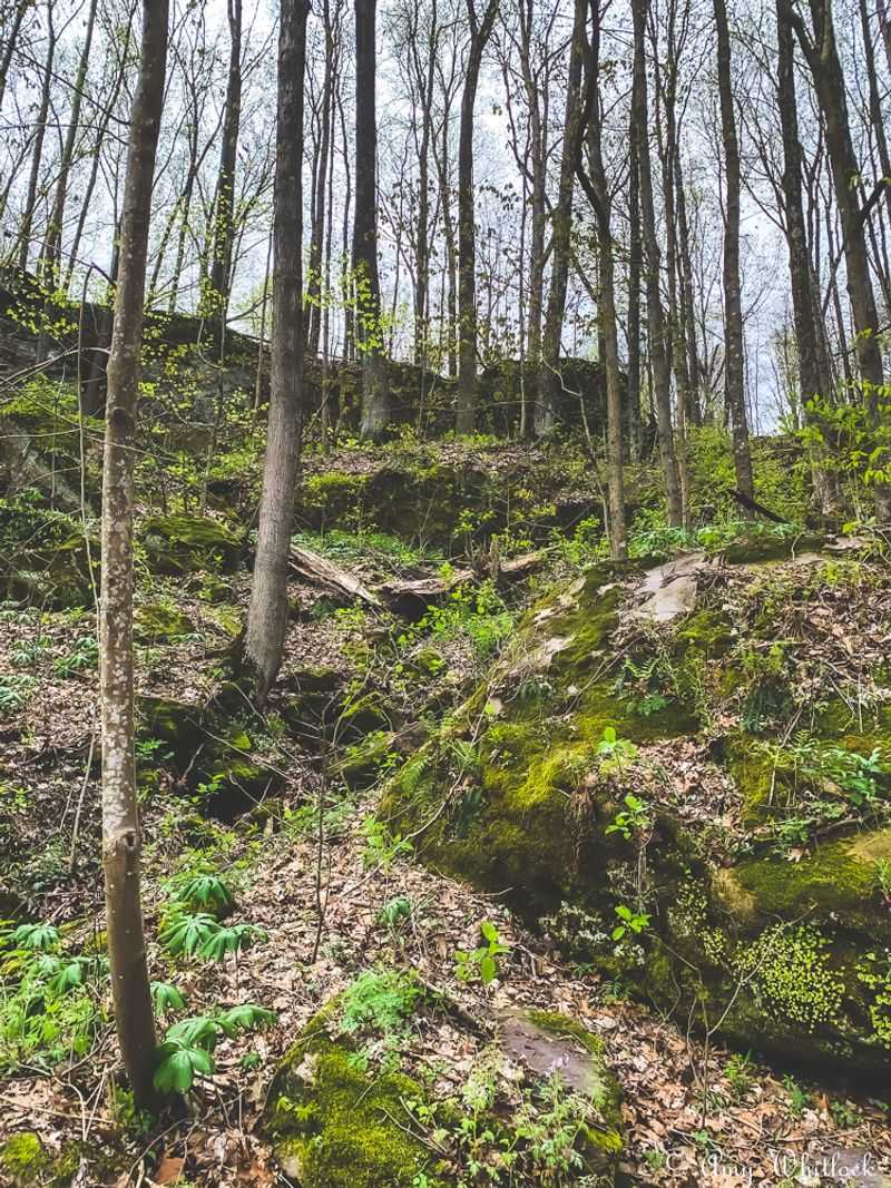 The Trail Keeps Changing Its Mood