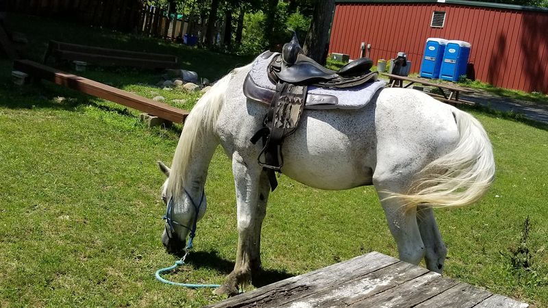 The Trail Ride You Will Keep Talking About The Trail Ride You Will Keep Talking About