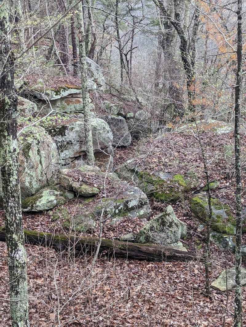 The Trail Starts Quiet And Then Completely Changes The Mood