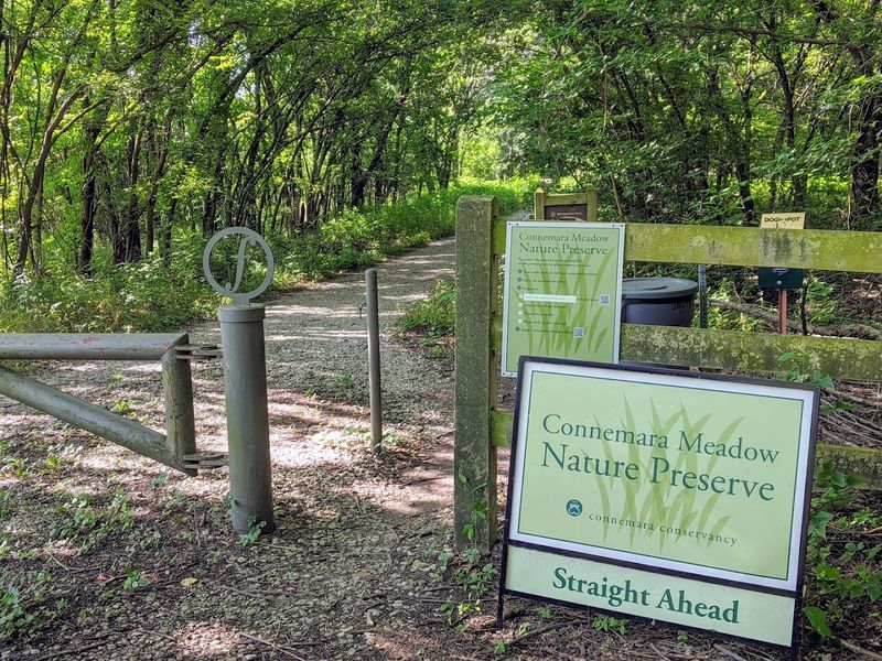 The Trail System, More Than 3 Miles of Surprisingly Varied Terrain