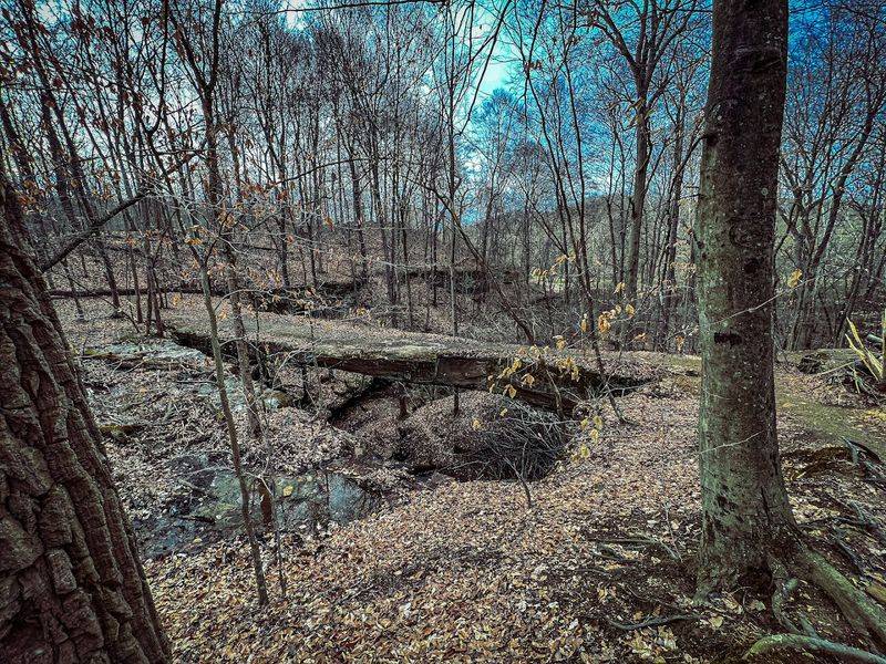 The Trail That Gets You There The Trail That Gets You There