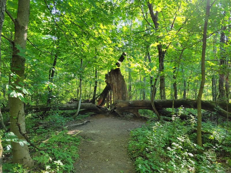 The Trail That Packs a Punch in Under a Mile The Trail That Packs a Punch in Under a Mile