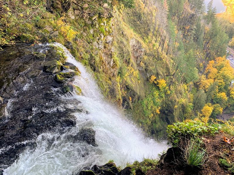 The Trail to the Top of the Falls