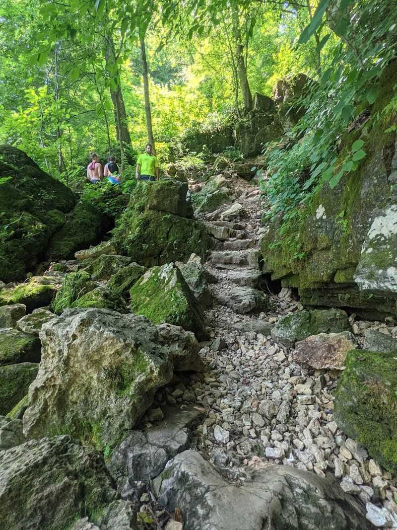 The Trails That Circle the Spring and Beyond