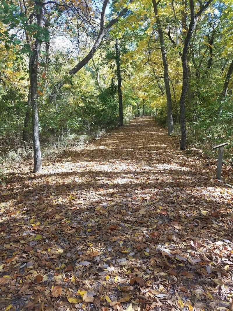 The Trails That Follow the Creek