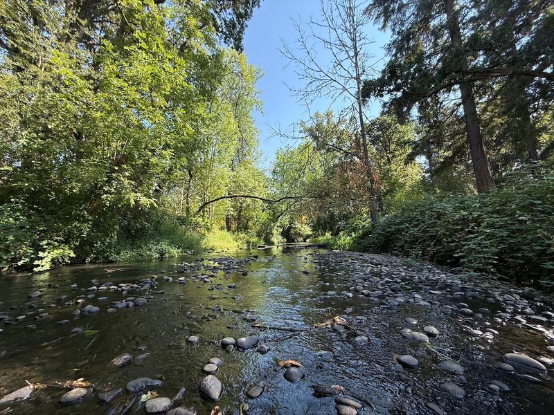The Trails, Trees, and Creek That Run Through It All