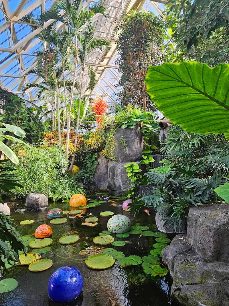 The Tropical Biome Messes With Your Sense Of Place