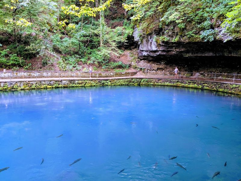 The Trout Hatchery and Fish Feeding Experience