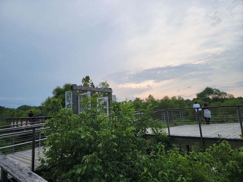 The Two-Story Observation Deck View You Did Not Expect