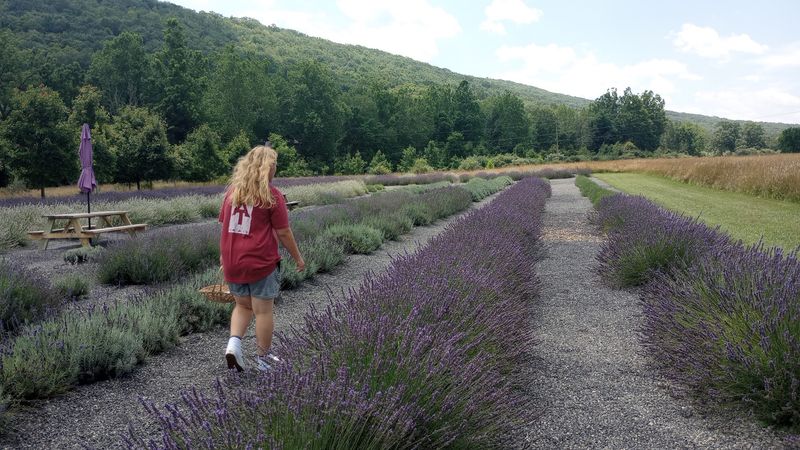 The U-Pick Experience Worth Planning Your Summer Around