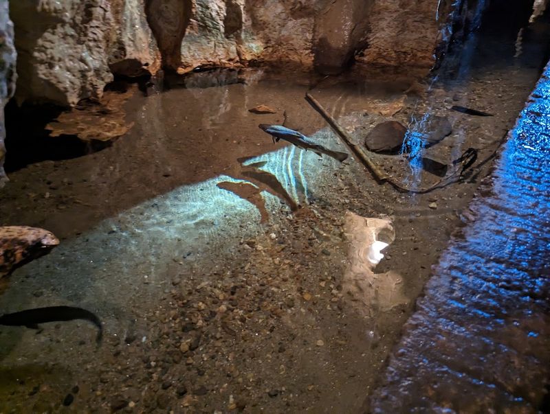 The Underground Stream Changes Everything The Underground Stream Changes Everything