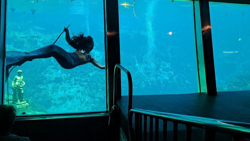The Underwater Theater Is The Real Surprise