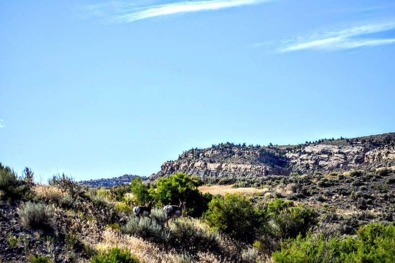 The Valley Itself Has a Presence Worth Noticing