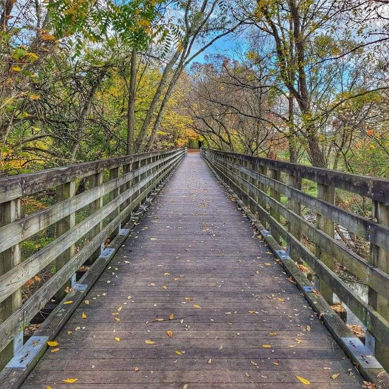 The Virginia Creeper Trail And Why Outdoor Lovers Go Absolutely Wild For It