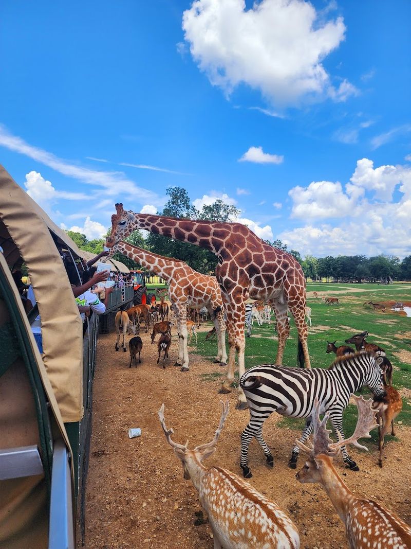 The Wagon Tour Is The Smart Move