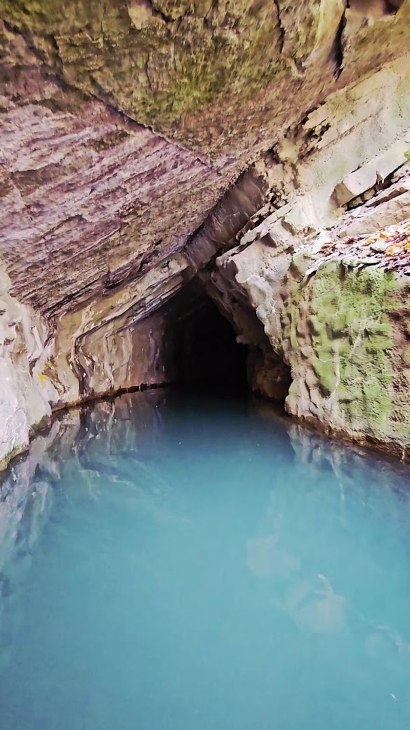 The Water Is Half The Magic