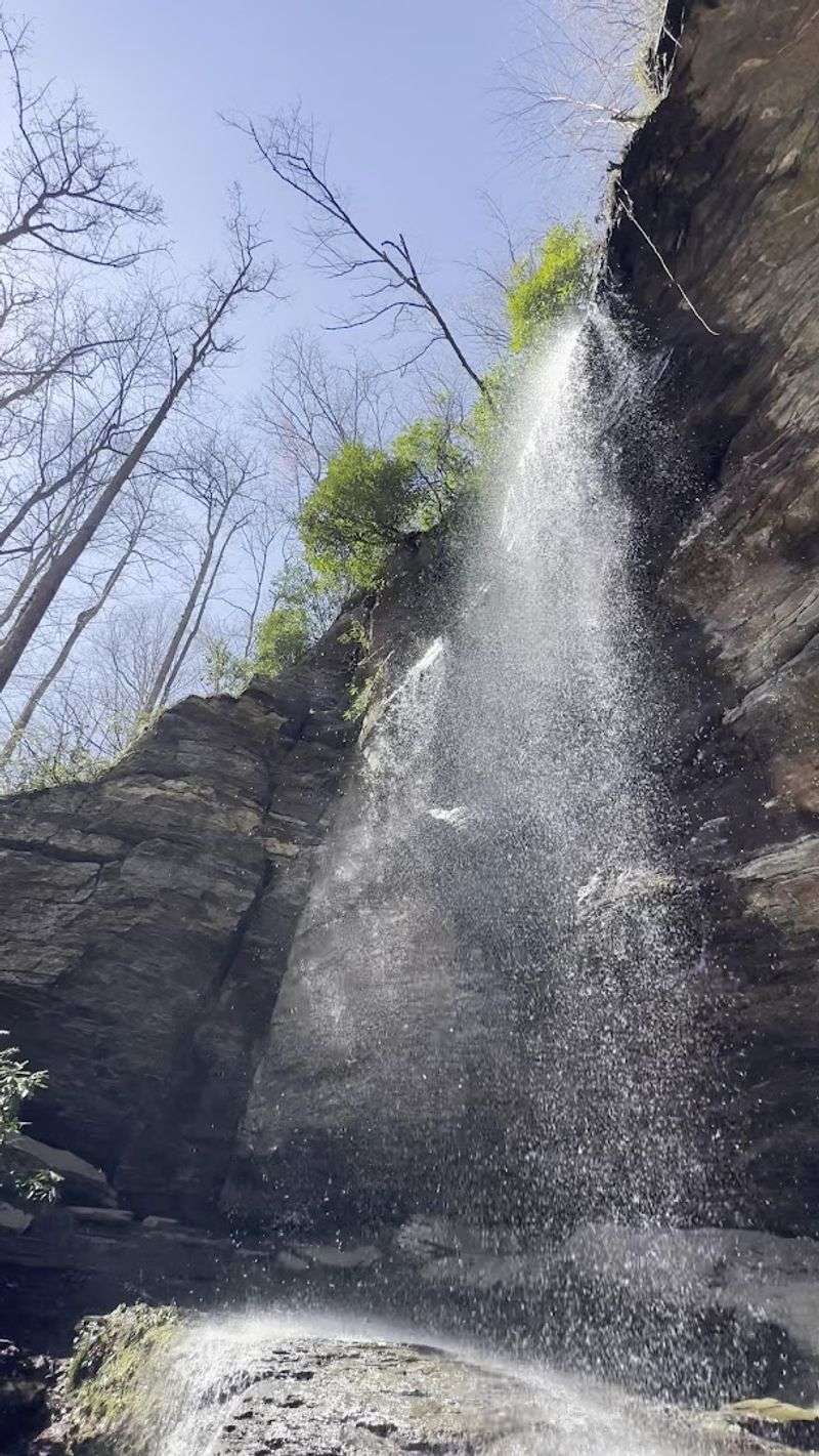 The Waterfall Reveal Is The Payoff The Waterfall Reveal Is The Payoff