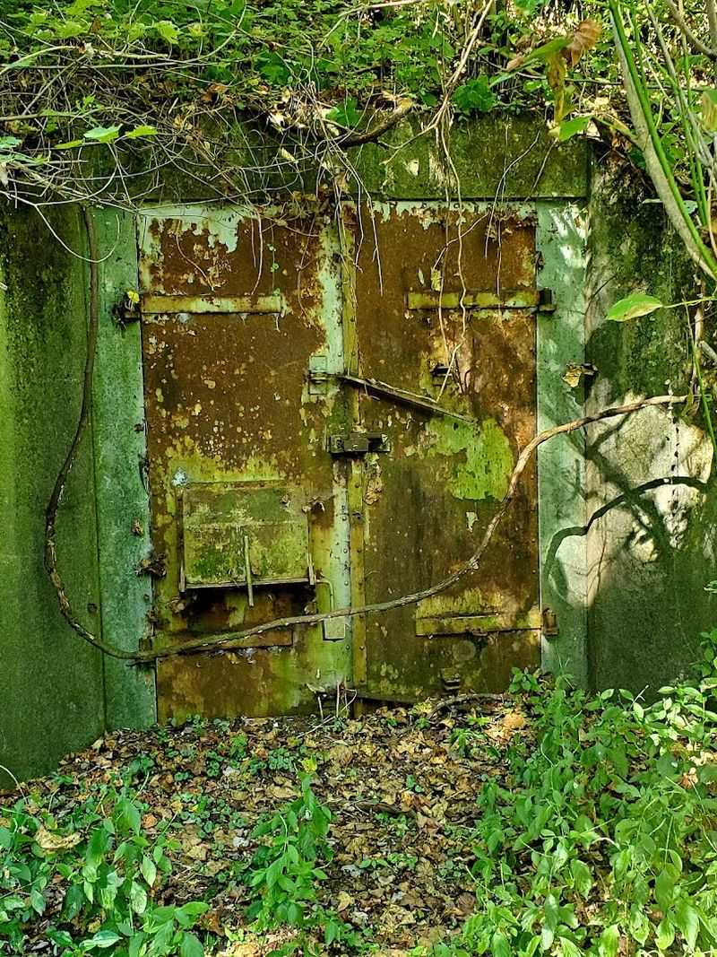 The West Virginia Ordnance Works