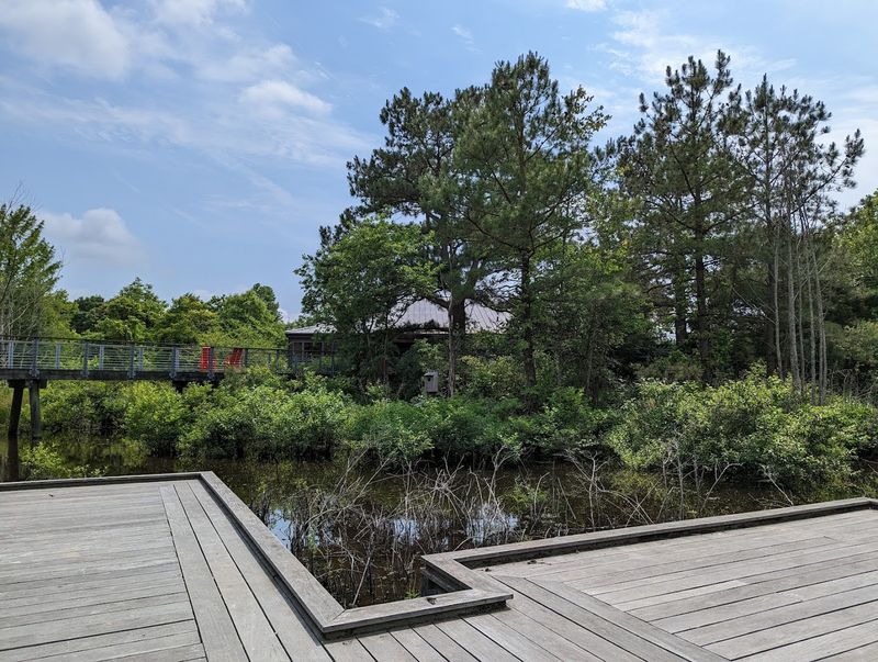 The Wetland Boardwalk and the Wildlife That Lives There The Wetland Boardwalk and the Wildlife That Lives There