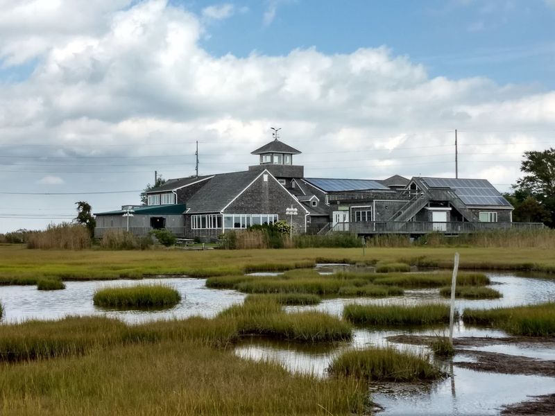 The Wetlands Institute and a Side of Science With Your Vacation The Wetlands Institute and a Side of Science With Your Vacation