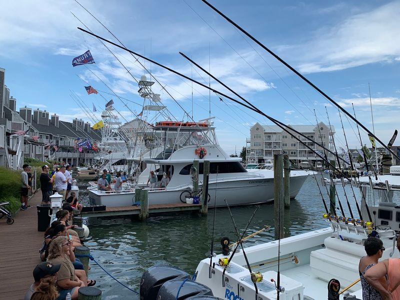 The White Marlin Open and Ocean City's Fishing Legacy