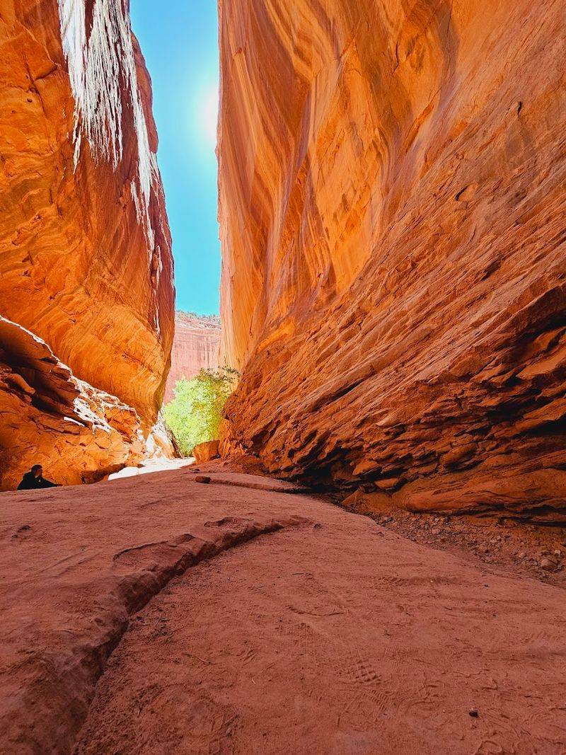 The Wider Monument: Canyons, Slot Hikes, and Untouched Backcountry The Wider Monument: Canyons, Slot Hikes, and Untouched Backcountry