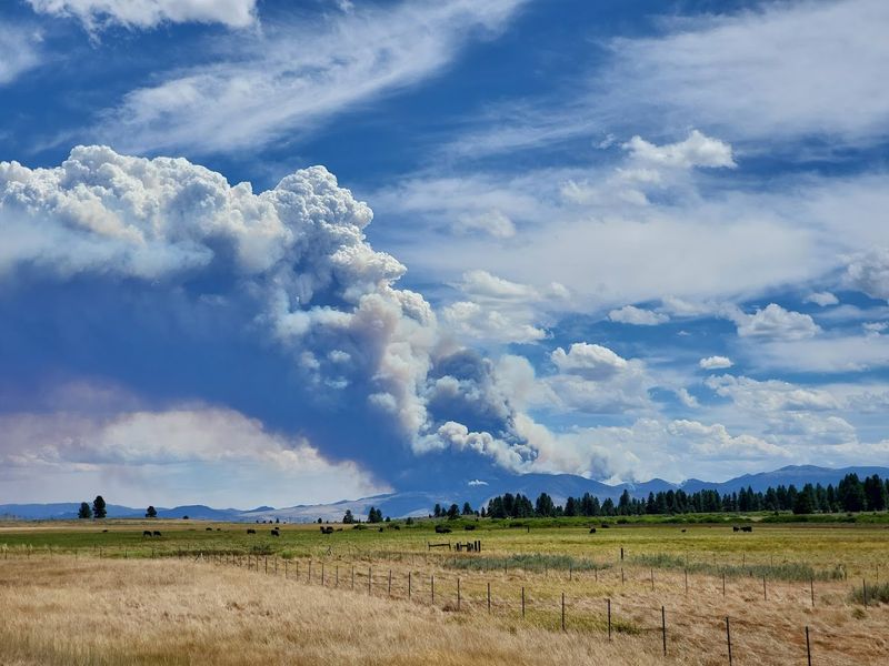 The Wild Heart of Plumas National Forest