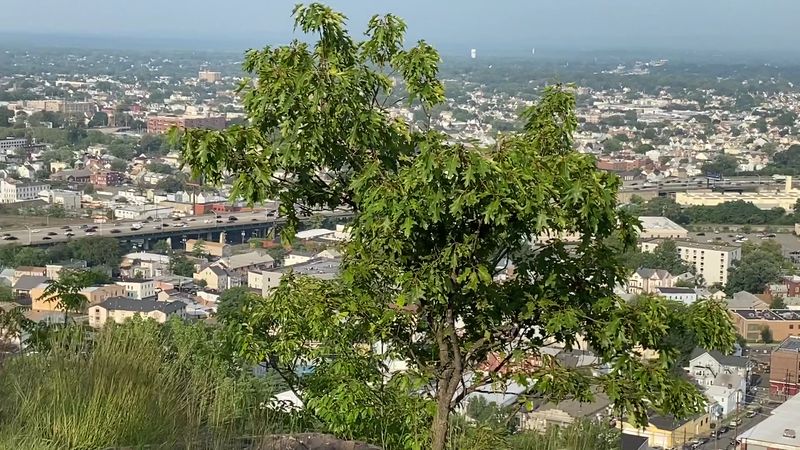 The Wild Setting Around the Tower