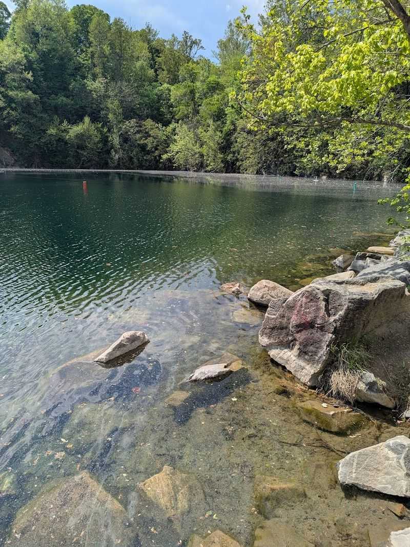 The Wildlife Living in These Murky Freshwater Depths The Wildlife Living in These Murky Freshwater Depths
