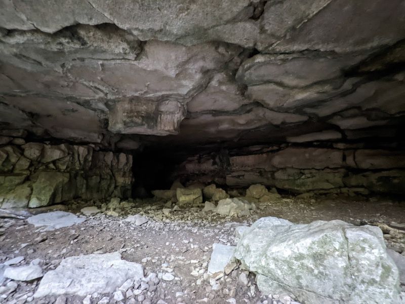 The Wolf Spider Encounter That Gives the Cave Its Creepy Edge
