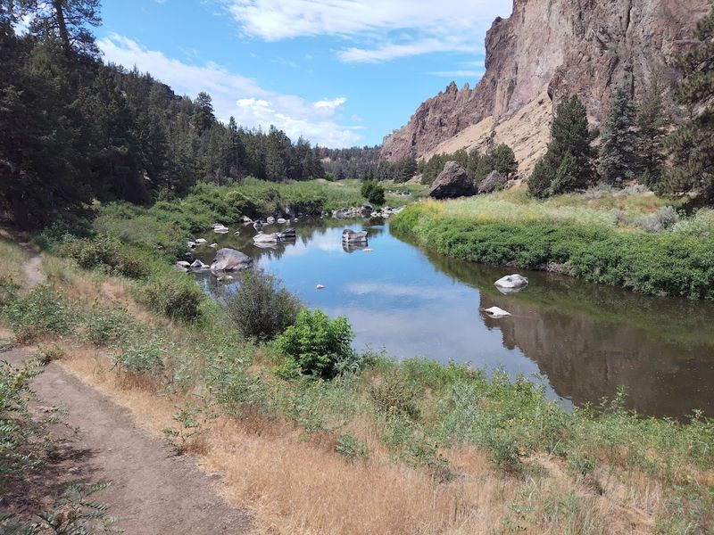 The Wolf Tree Trail and a Quieter Side of the Park The Wolf Tree Trail and a Quieter Side of the Park