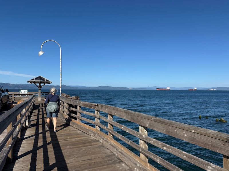 The Wooden Viewing Pier That Steals the Show The Wooden Viewing Pier That Steals the Show