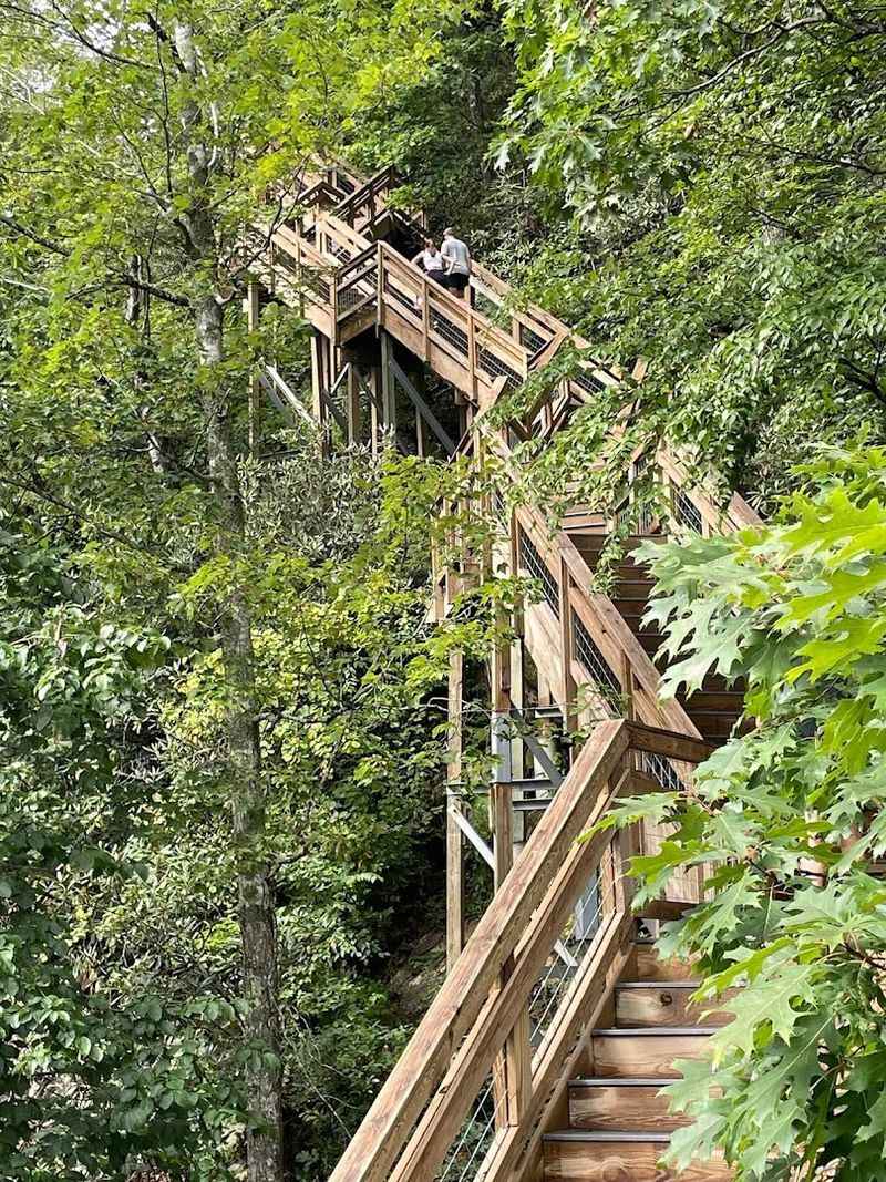 The Woods Keep Changing Around You The Woods Keep Changing Around You