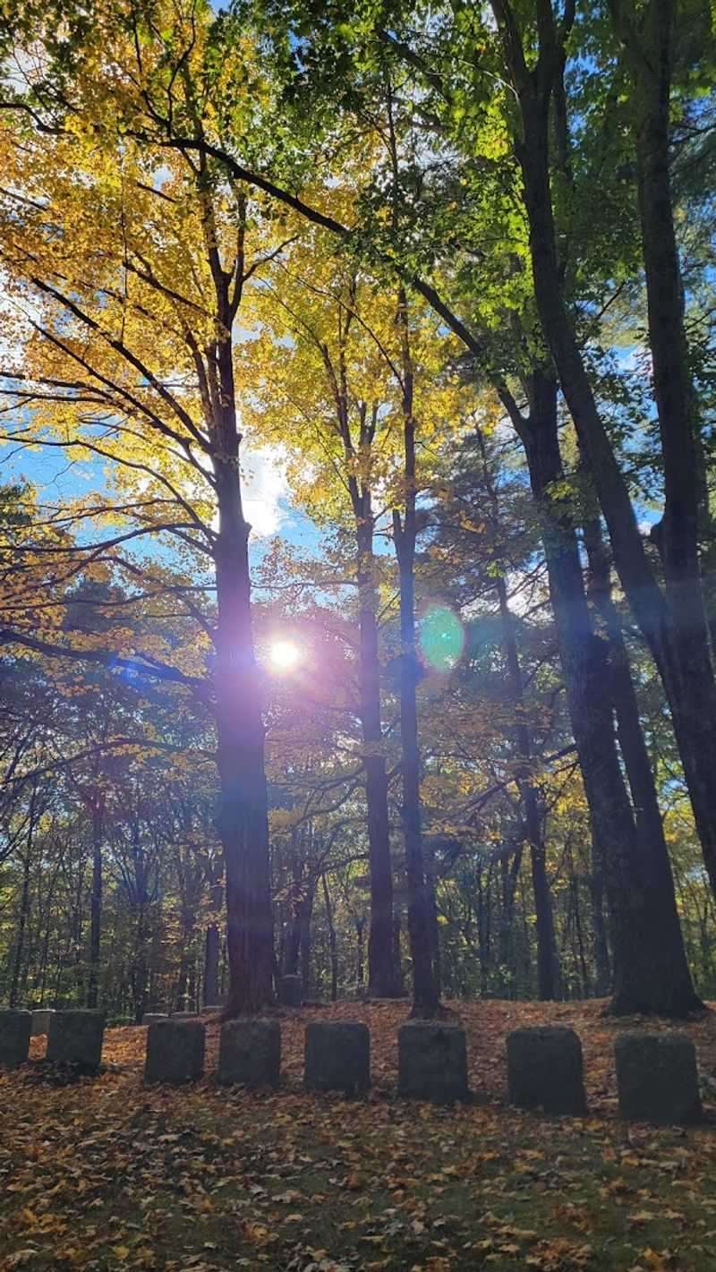 The Woods Make Everything Feel Closer