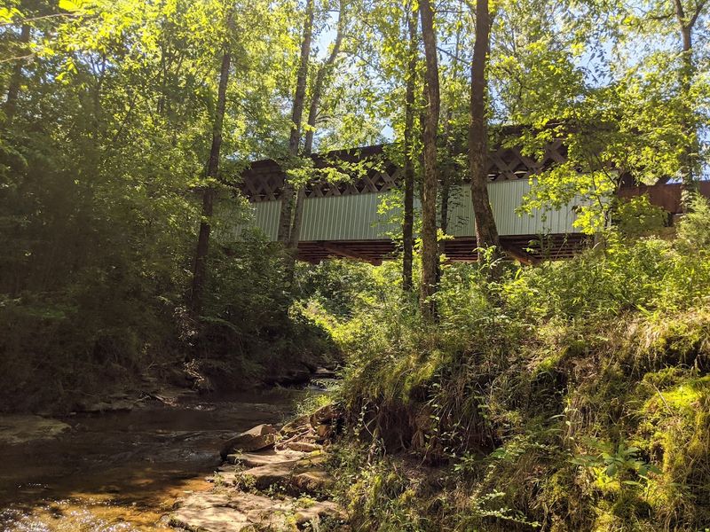 The Woods Make It Feel Even Better