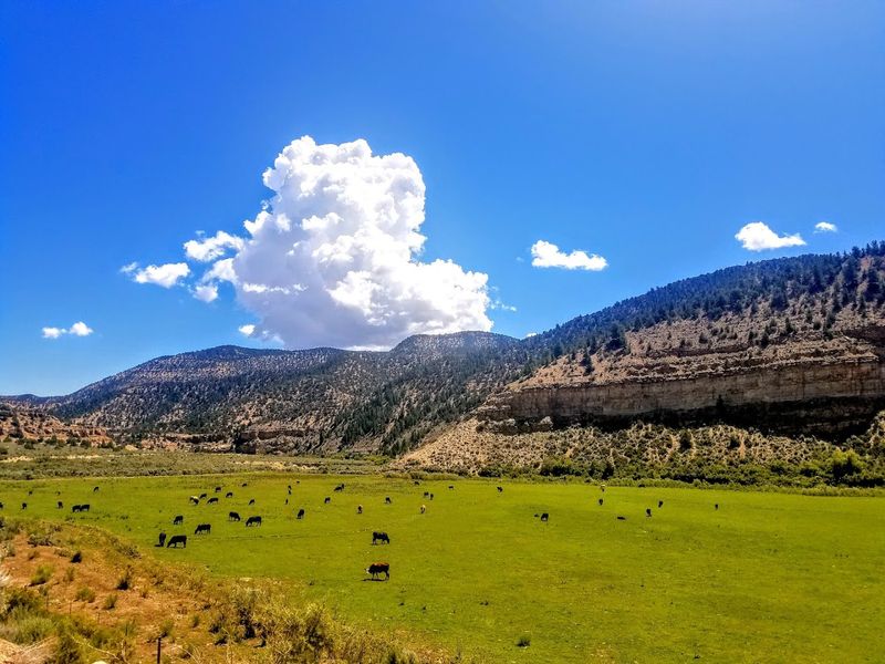 The World's Longest Art Gallery, Right Here in Utah