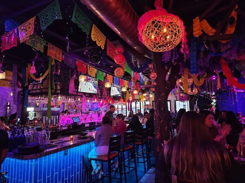 The Xaman Room at Agave Maria, Belleville