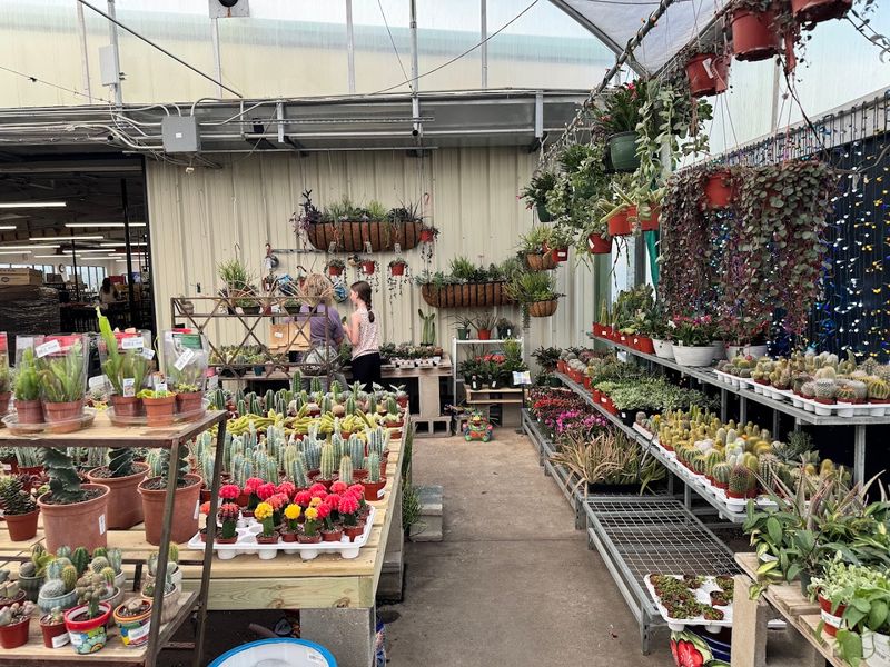 The You Pick, We Pot Service That Makes Container Gardening Easy