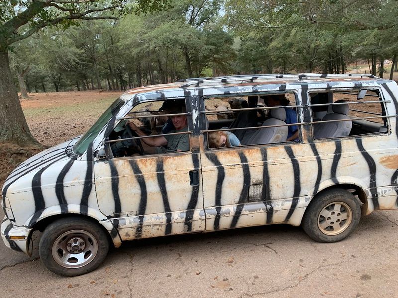 The Zebra Van Option Is Smart
