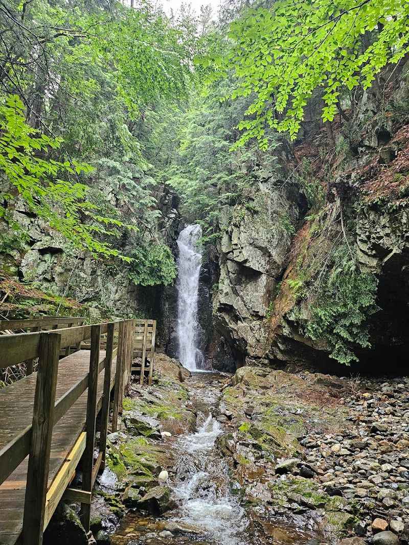 Thirty Miles of Trails Through Ancient Wilderness Thirty Miles of Trails Through Ancient Wilderness