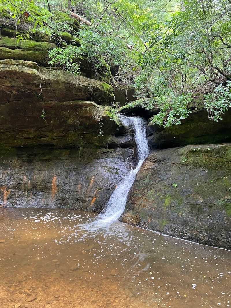 This Spot Is Great For A Real Summer Swim