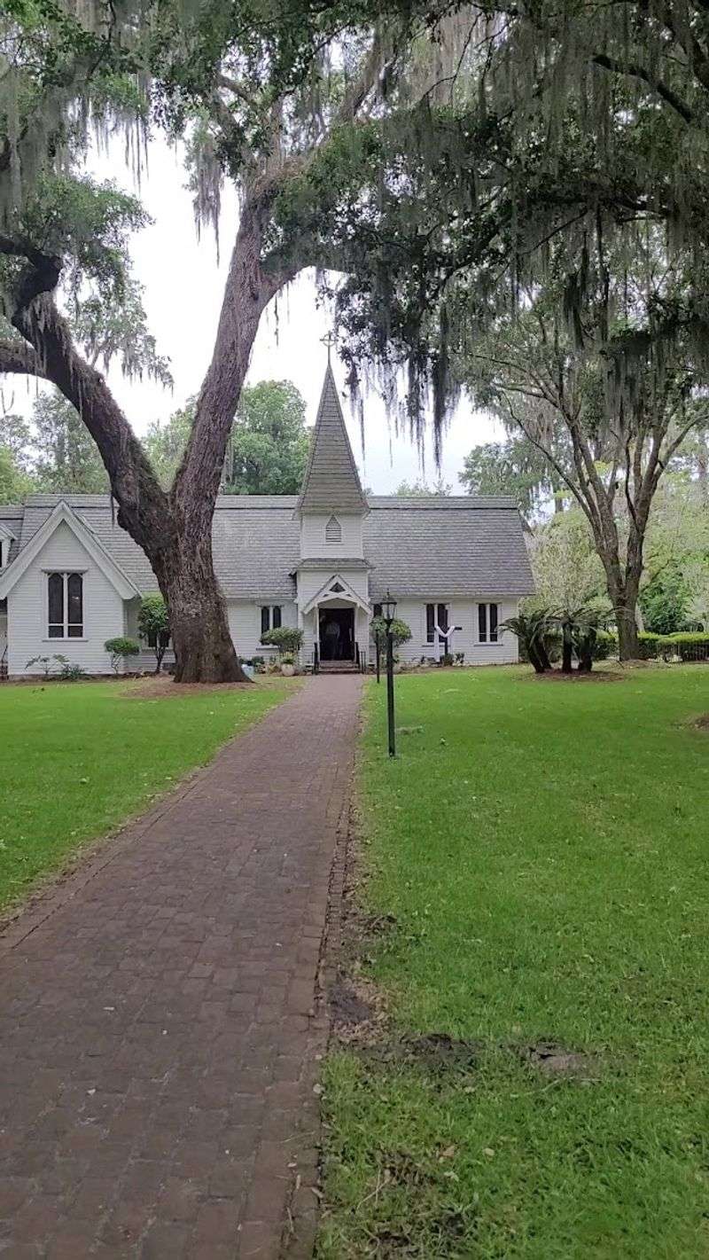 Those Live Oaks Do Half The Work