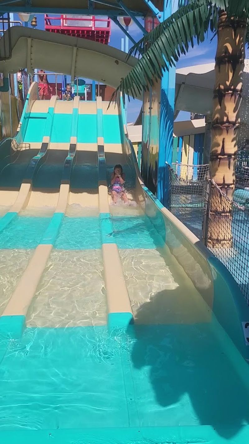 Thrilling Slides That Keep the Adrenaline Going