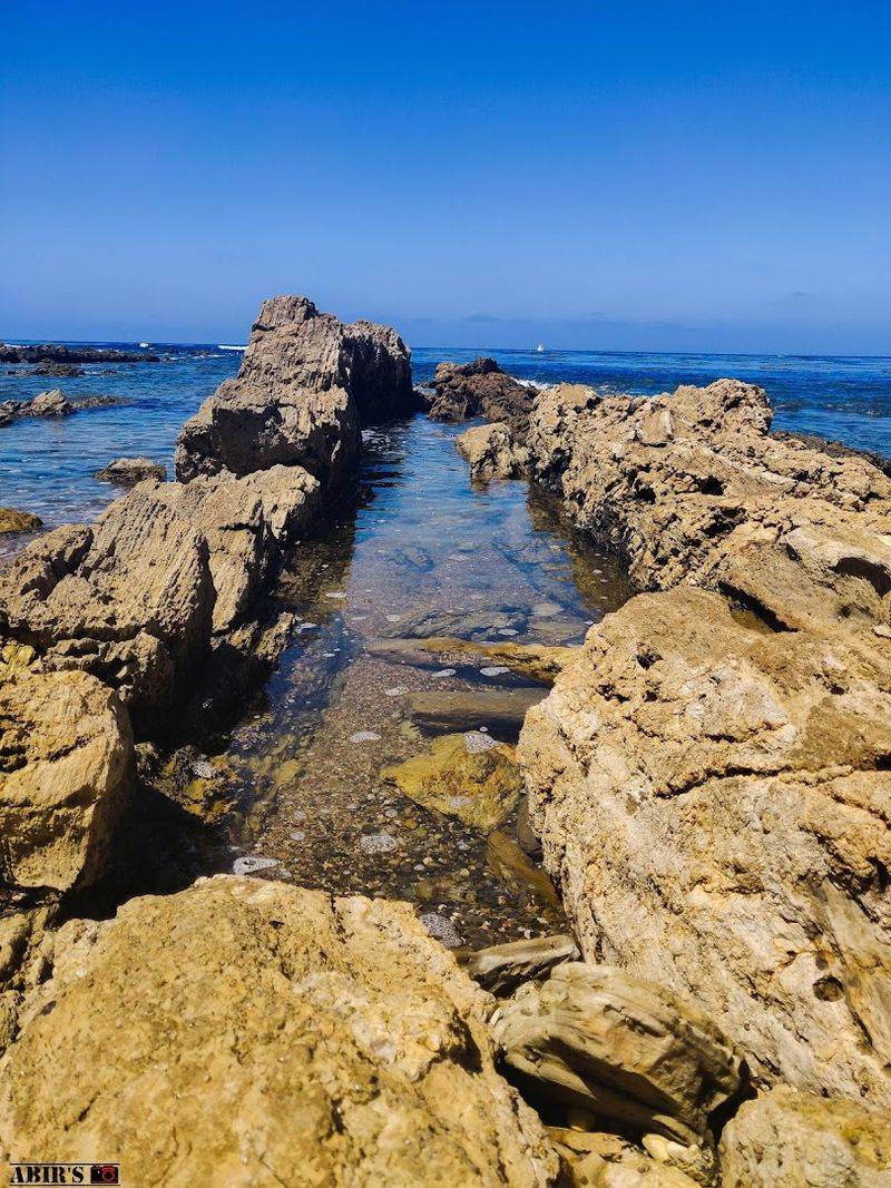 Tide Pools, Crabs, and the Wildlife Factor