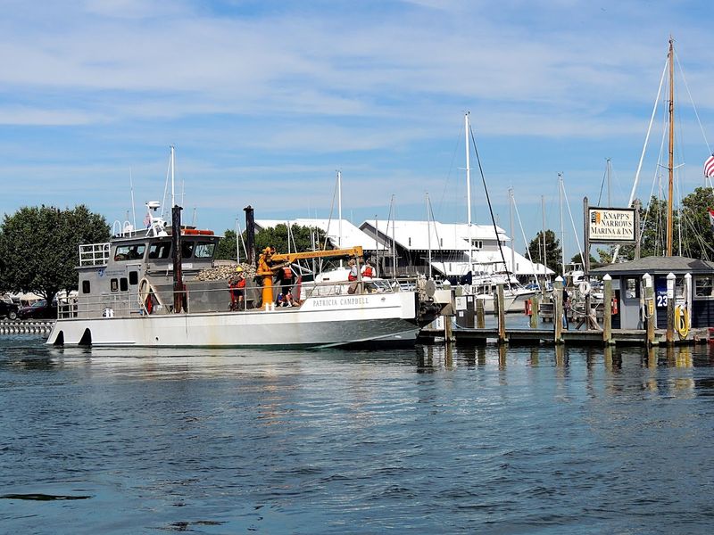 Tilghman Island